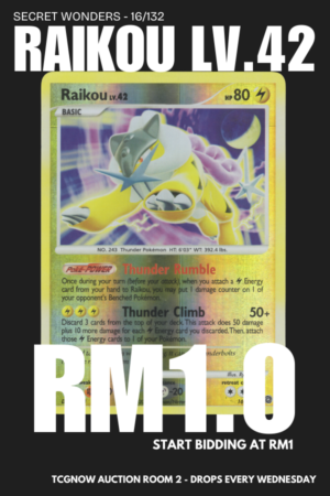 Raikou Lv.42 Reverse Holo Secret Wonders 16/132
