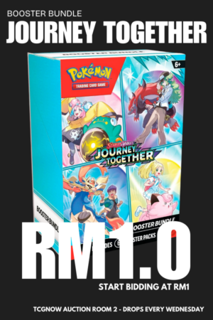 Journey Together Booster Bundle