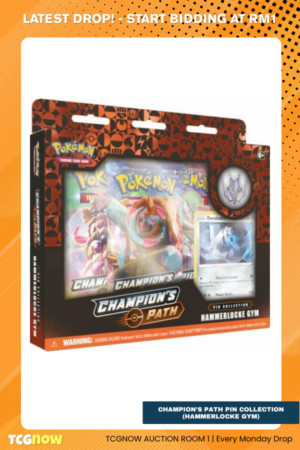 Champion’s Path Pin Collection (Hammerlocke Gym)