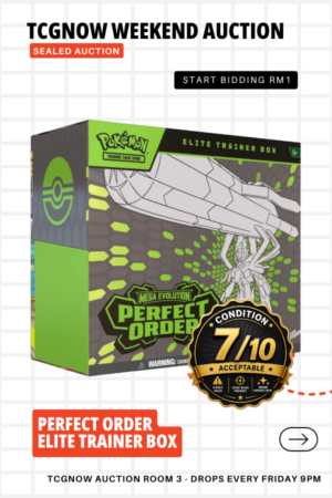 Perfect Order Elite Trainer Box